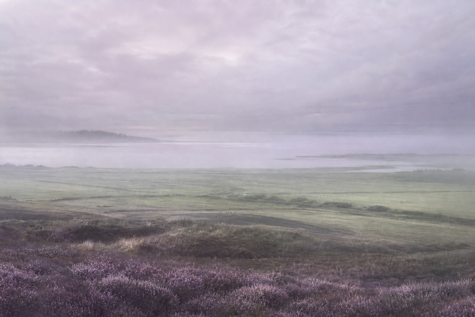 Nebelige Landschaft mit Heide und fernem Wasserhorizont