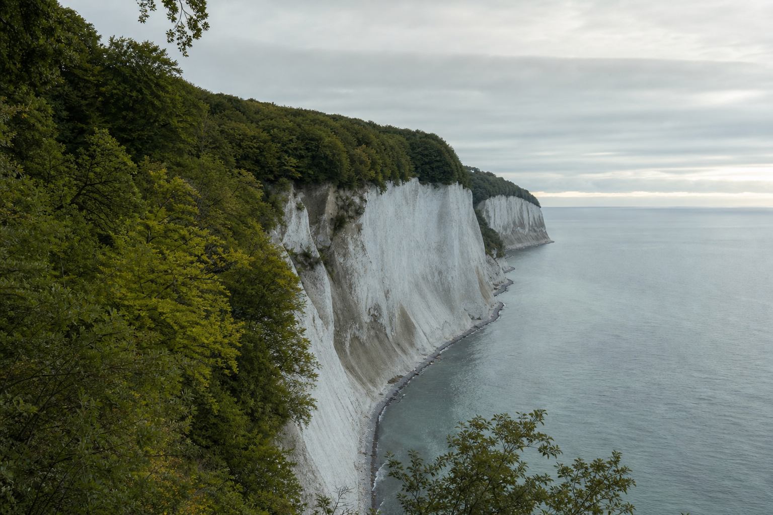 Weiße Kreidefelsen am Nationalpark Jasmund auf Rügen